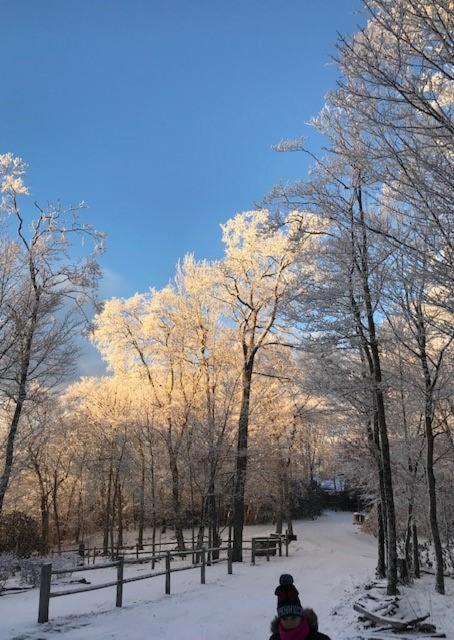 Bearadise Cabin Villa Sugar Mountain Dış mekan fotoğraf